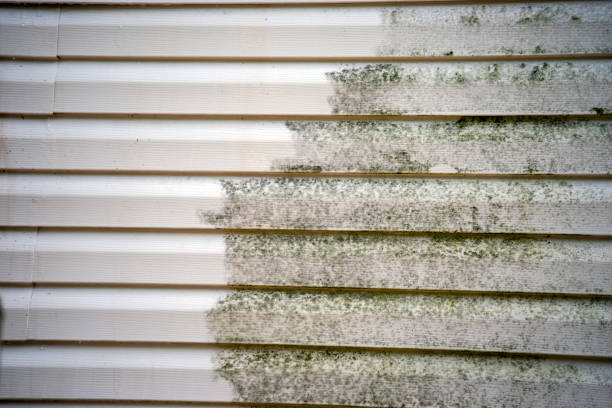 Best Storm Damage Siding Repair  in Stanton, CA